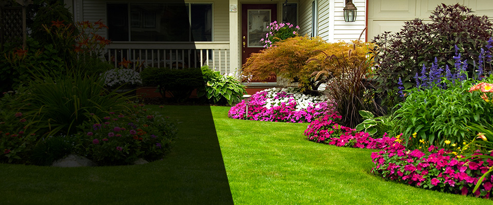 Downsville Landscapers