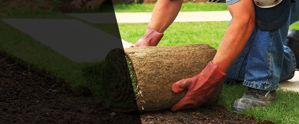 Downsville Landscapers